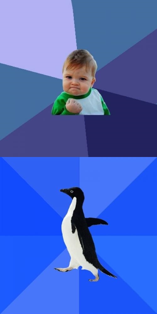 Success Kid socially awkward penguin combined Blank Meme Template