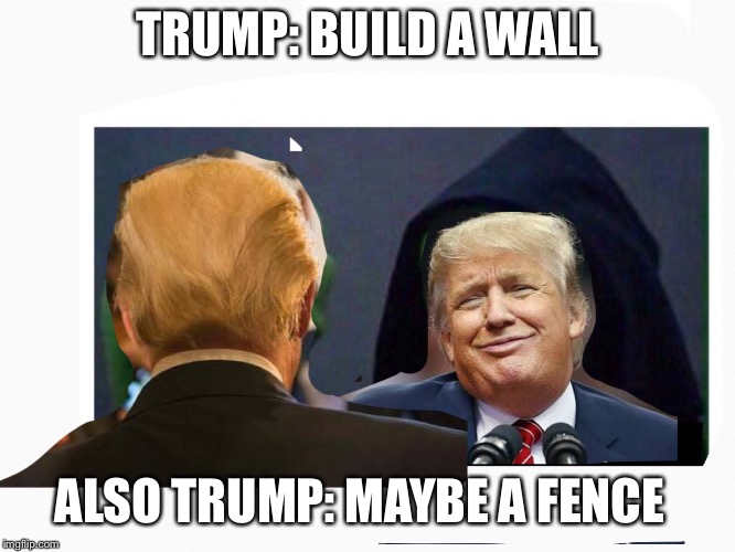 Also Trump | TRUMP: BUILD A WALL; ALSO TRUMP: MAYBE A FENCE | image tagged in donald trump | made w/ Imgflip meme maker