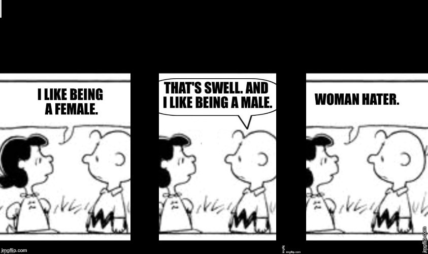 Charlie Brown and Lucy Tumblr | image tagged in charlie brown and lucy tumblr | made w/ Imgflip meme maker
