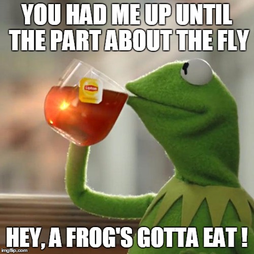 But That's None Of My Business Meme | YOU HAD ME UP UNTIL THE PART ABOUT THE FLY HEY, A FROG'S GOTTA EAT ! | image tagged in memes,but thats none of my business,kermit the frog | made w/ Imgflip meme maker