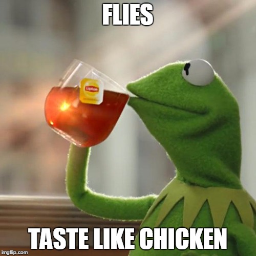 But That's None Of My Business Meme | FLIES TASTE LIKE CHICKEN | image tagged in memes,but thats none of my business,kermit the frog | made w/ Imgflip meme maker