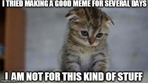 Sad kitten | I TRIED MAKING A GOOD MEME FOR SEVERAL DAYS; I  AM NOT FOR THIS KIND OF STUFF | image tagged in sad kitten | made w/ Imgflip meme maker