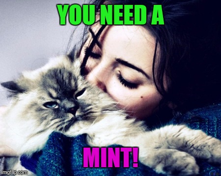YOU NEED A MINT! | made w/ Imgflip meme maker
