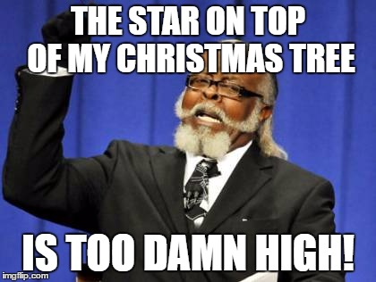 Too Damn High Meme | THE STAR ON TOP OF MY CHRISTMAS TREE; IS TOO DAMN HIGH! | image tagged in memes,too damn high | made w/ Imgflip meme maker