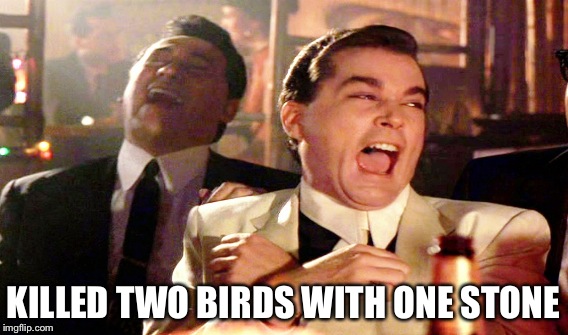 KILLED TWO BIRDS WITH ONE STONE | made w/ Imgflip meme maker