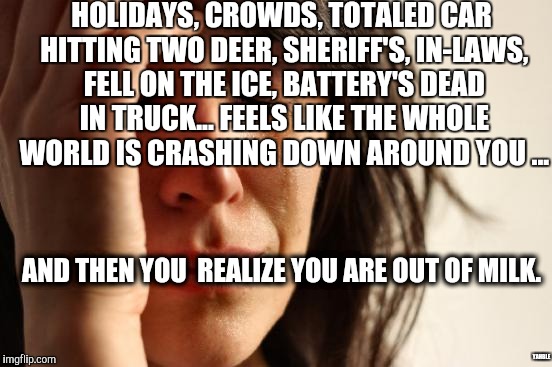 First World Problems Meme | HOLIDAYS, CROWDS, TOTALED CAR HITTING TWO DEER, SHERIFF'S, IN-LAWS, FELL ON THE ICE, BATTERY'S DEAD IN TRUCK... FEELS LIKE THE WHOLE WORLD IS CRASHING DOWN AROUND YOU ... AND THEN YOU  REALIZE YOU ARE OUT OF MILK. YAHBLE | image tagged in memes,first world problems | made w/ Imgflip meme maker