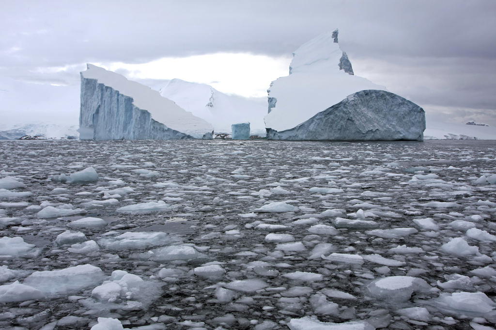 High Quality icebergs Blank Meme Template