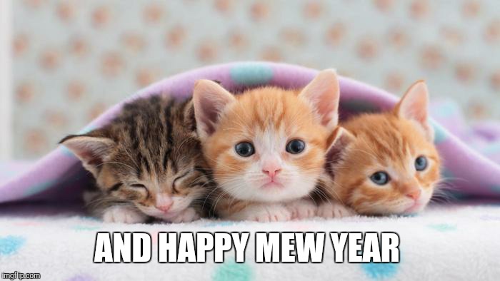 AND HAPPY MEW YEAR | made w/ Imgflip meme maker