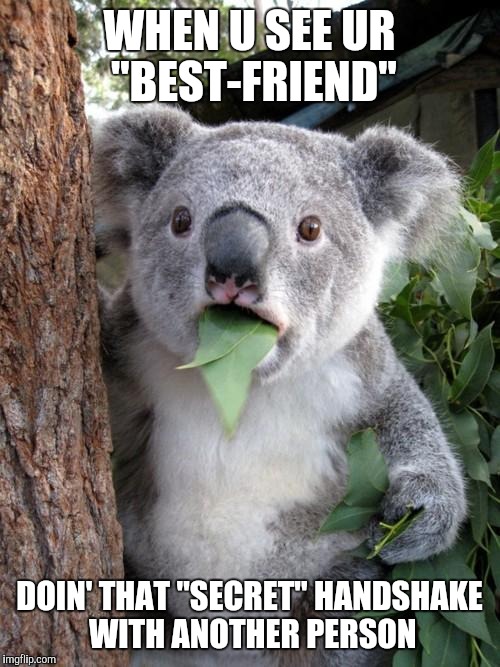 Surprised Koala | WHEN U SEE UR "BEST-FRIEND"; DOIN' THAT "SECRET" HANDSHAKE WITH ANOTHER PERSON | image tagged in memes,surprised koala | made w/ Imgflip meme maker