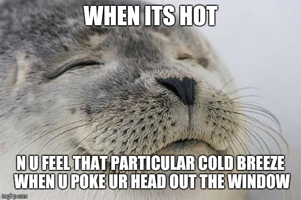 Satisfied Seal | WHEN ITS HOT; N U FEEL THAT PARTICULAR COLD BREEZE WHEN U POKE UR HEAD OUT THE WINDOW | image tagged in memes,satisfied seal | made w/ Imgflip meme maker