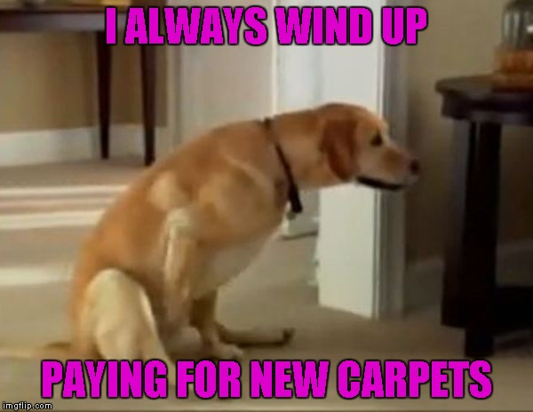 I ALWAYS WIND UP PAYING FOR NEW CARPETS | made w/ Imgflip meme maker