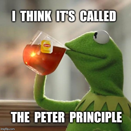 But That's None Of My Business Meme | I  THINK  IT'S  CALLED THE  PETER  PRINCIPLE | image tagged in memes,but thats none of my business,kermit the frog | made w/ Imgflip meme maker