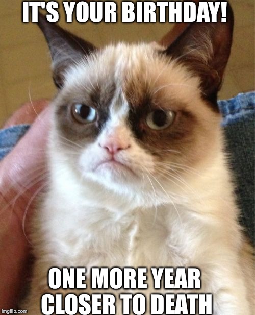 Grumpy Cat | IT'S YOUR BIRTHDAY! ONE MORE YEAR CLOSER TO DEATH | image tagged in memes,grumpy cat | made w/ Imgflip meme maker