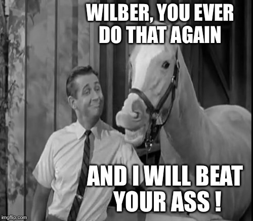 WILBER, YOU EVER DO THAT AGAIN AND I WILL BEAT YOUR ASS ! | made w/ Imgflip meme maker