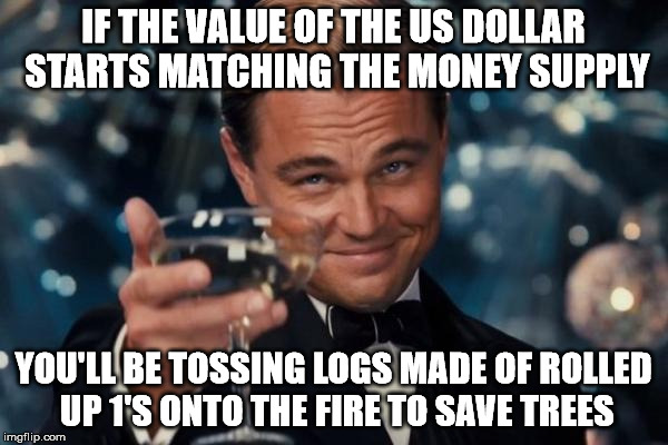 Leonardo Dicaprio Cheers Meme | IF THE VALUE OF THE US DOLLAR STARTS MATCHING THE MONEY SUPPLY YOU'LL BE TOSSING LOGS MADE OF ROLLED UP 1'S ONTO THE FIRE TO SAVE TREES | image tagged in memes,leonardo dicaprio cheers | made w/ Imgflip meme maker