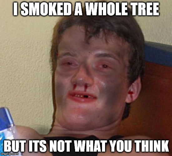Burnt 10 Guy | I SMOKED A WHOLE TREE BUT ITS NOT WHAT YOU THINK | image tagged in burnt 10 guy | made w/ Imgflip meme maker