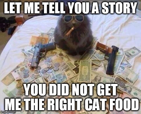 gangsta-kitty | LET ME TELL YOU A STORY; YOU DID NOT GET ME THE RIGHT CAT FOOD | image tagged in gangsta-kitty | made w/ Imgflip meme maker