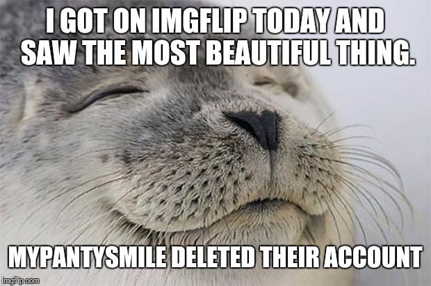 Didn't learn about this today, actually, but I'm glad he's gone | I GOT ON IMGFLIP TODAY AND SAW THE MOST BEAUTIFUL THING. MYPANTYSMILE DELETED THEIR ACCOUNT | image tagged in memes,satisfied seal | made w/ Imgflip meme maker