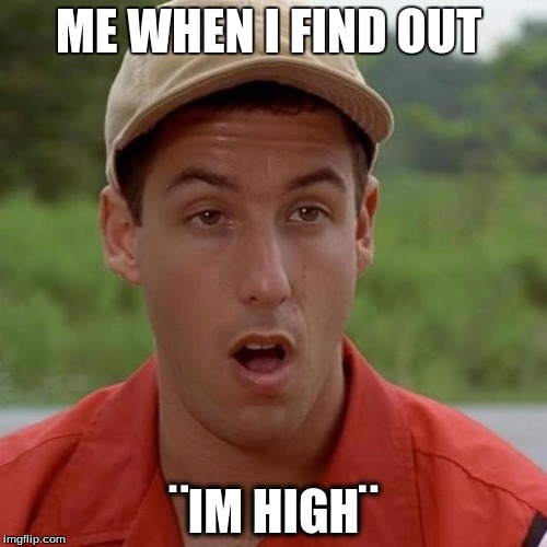 Adam Sandler mouth dropped | ME WHEN I FIND OUT; ¨IM HIGH¨ | image tagged in adam sandler mouth dropped | made w/ Imgflip meme maker