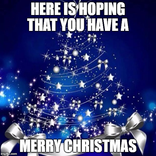 Merry Christmas  | HERE IS HOPING THAT YOU HAVE A; MERRY CHRISTMAS | image tagged in merry christmas | made w/ Imgflip meme maker