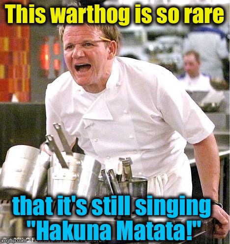 This warthog is so rare that it's still singing "Hakuna Matata!" | made w/ Imgflip meme maker