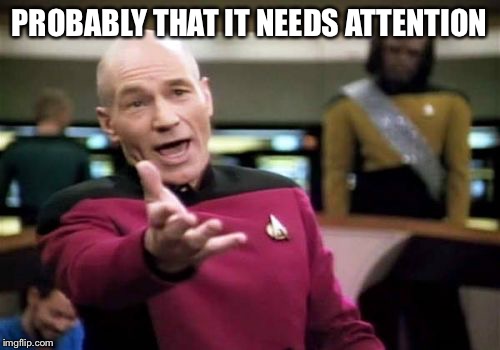 Picard Wtf Meme | PROBABLY THAT IT NEEDS ATTENTION | image tagged in memes,picard wtf | made w/ Imgflip meme maker