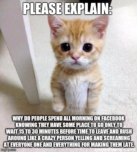 Cute Cat Meme | PLEASE EXPLAIN:; WHY DO PEOPLE SPEND ALL MORNING ON FACEBOOK KNOWING THEY HAVE SOME PLACE TO GO ONLY TO WAIT 15 TO 30 MINUTES BEFORE TIME TO LEAVE AND RUSH AROUND LIKE A CRAZY PERSON YELLING AND SCREAMING AT EVERYONE ONE AND EVERYTHING FOR MAKING THEM LATE. | image tagged in memes,cute cat | made w/ Imgflip meme maker