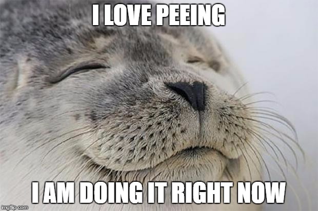 Satisfied Seal | I LOVE PEEING; I AM DOING IT RIGHT NOW | image tagged in memes,satisfied seal | made w/ Imgflip meme maker