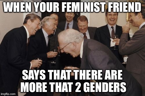 Laughing Men In Suits Meme | WHEN YOUR FEMINIST FRIEND; SAYS THAT THERE ARE MORE THAT 2 GENDERS | image tagged in memes,laughing men in suits | made w/ Imgflip meme maker