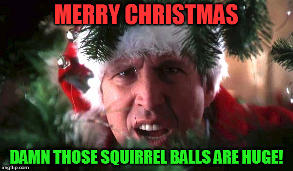 MERRY CHRISTMAS; DAMN THOSE SQUIRREL BALLS ARE HUGE! | image tagged in clark griswald | made w/ Imgflip meme maker