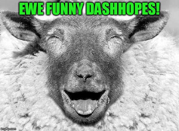 EWE FUNNY DASHHOPES! | made w/ Imgflip meme maker