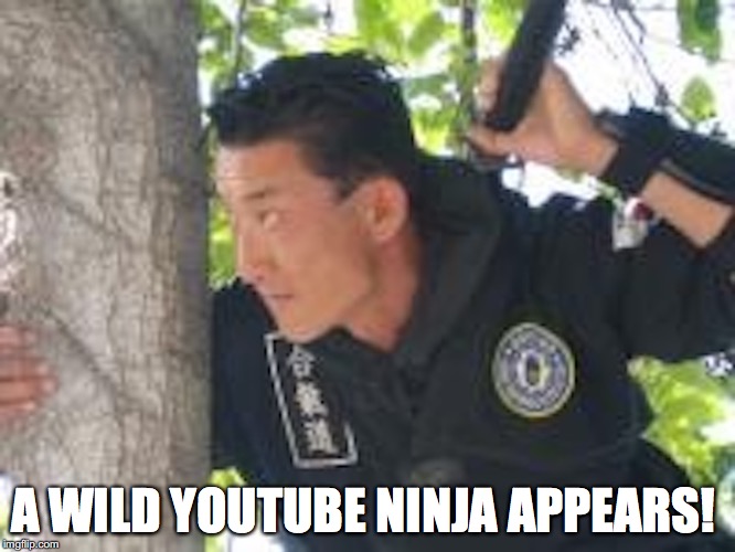 Greg Park | A WILD YOUTUBE NINJA APPEARS! | image tagged in greg park,youtube,ninja,memes | made w/ Imgflip meme maker