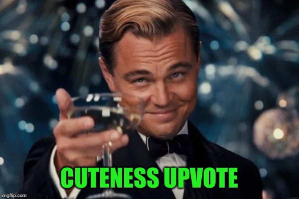 Leonardo Dicaprio Cheers Meme | CUTENESS UPVOTE | image tagged in memes,leonardo dicaprio cheers | made w/ Imgflip meme maker
