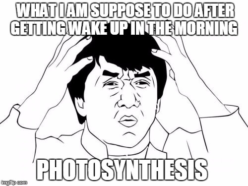Jackie Chan WTF Meme | WHAT I AM SUPPOSE TO DO AFTER GETTING WAKE UP IN THE MORNING; PHOTOSYNTHESIS | image tagged in memes,jackie chan wtf | made w/ Imgflip meme maker