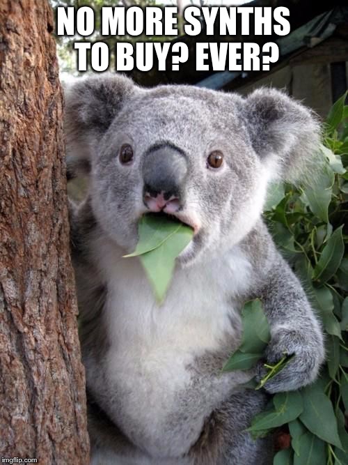 WTF Koala | NO MORE SYNTHS TO BUY? EVER? | image tagged in wtf koala | made w/ Imgflip meme maker