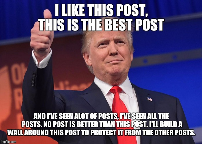 donald trump |  I LIKE THIS POST, THIS IS THE BEST POST; AND I'VE SEEN ALOT OF POSTS, I'VE SEEN ALL THE POSTS. NO POST IS BETTER THAN THIS POST. I'LL BUILD A WALL AROUND THIS POST TO PROTECT IT FROM THE OTHER POSTS. | image tagged in donald trump | made w/ Imgflip meme maker