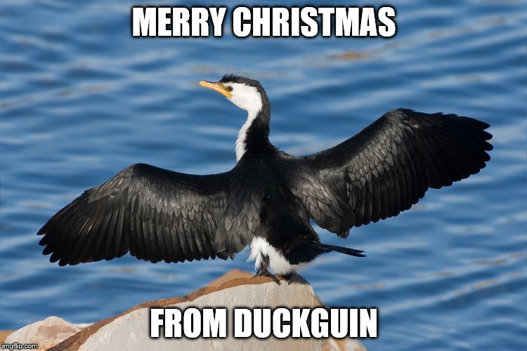 Duckguin | MERRY CHRISTMAS; FROM DUCKGUIN | image tagged in duckguin | made w/ Imgflip meme maker