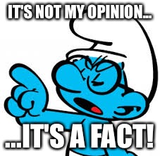 brainy smurf | IT'S NOT MY OPINION... ...IT'S A FACT! | image tagged in brainy smurf | made w/ Imgflip meme maker