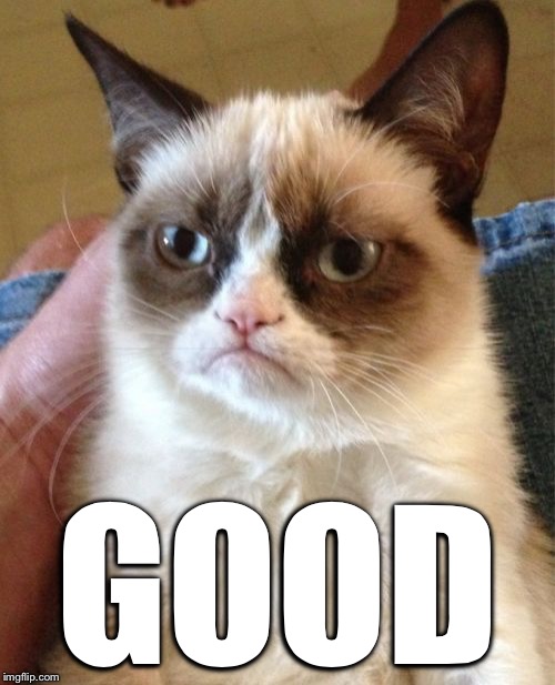 Grumpy Cat Meme | GOOD | image tagged in memes,grumpy cat | made w/ Imgflip meme maker