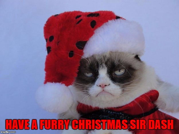 HAVE A FURRY CHRISTMAS SIR DASH | made w/ Imgflip meme maker
