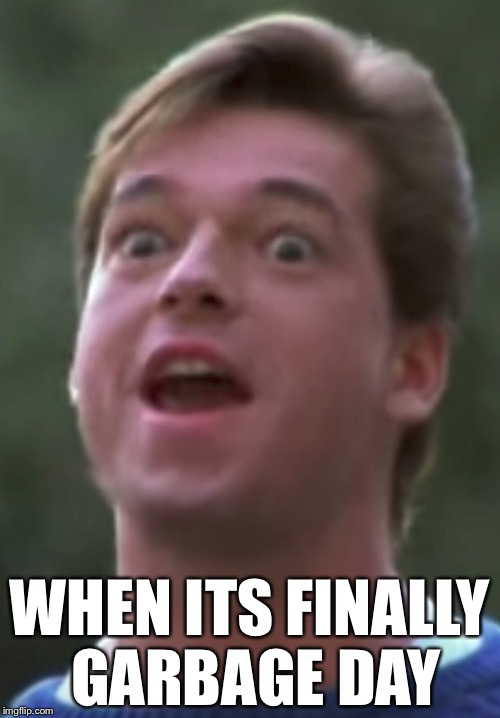 Garbage day | WHEN ITS FINALLY GARBAGE DAY | image tagged in memes,garbage day | made w/ Imgflip meme maker