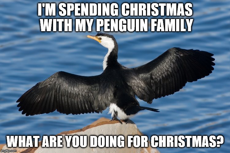 Duckguin | I'M SPENDING CHRISTMAS WITH MY PENGUIN FAMILY; WHAT ARE YOU DOING FOR CHRISTMAS? | image tagged in duckguin | made w/ Imgflip meme maker