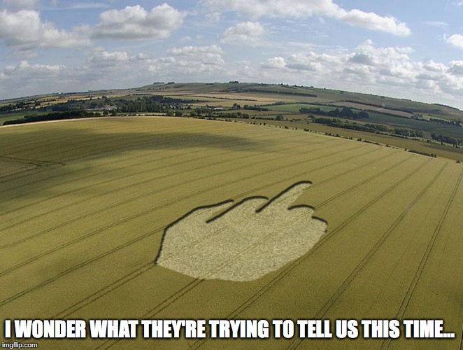 Crop Circles | I WONDER WHAT THEY'RE TRYING TO TELL US THIS TIME... | image tagged in crop circles,memes | made w/ Imgflip meme maker