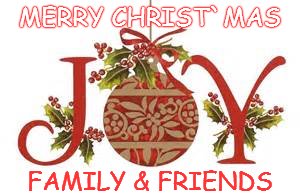 Christmas joy
 | MERRY CHRIST`MAS; FAMILY & FRIENDS | image tagged in joy,joy joy,joy joy joy | made w/ Imgflip meme maker