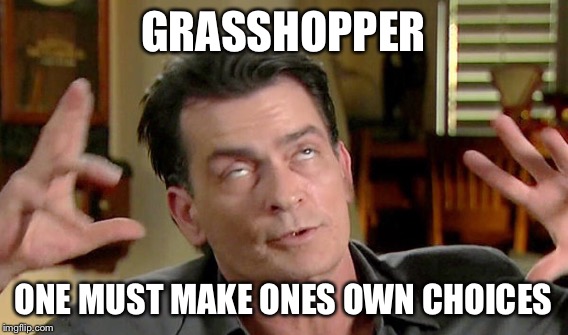GRASSHOPPER ONE MUST MAKE ONES OWN CHOICES | made w/ Imgflip meme maker