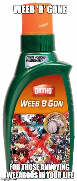 Encountered a Weeabo? Do not worry for here is Weeb 'B' Gone! | WEEB 'B' GONE; FOR THOSE ANNOYING WEEABOOS IN YOUR LIFE | image tagged in weeaboobs trash weeb weeaboo anime | made w/ Imgflip meme maker