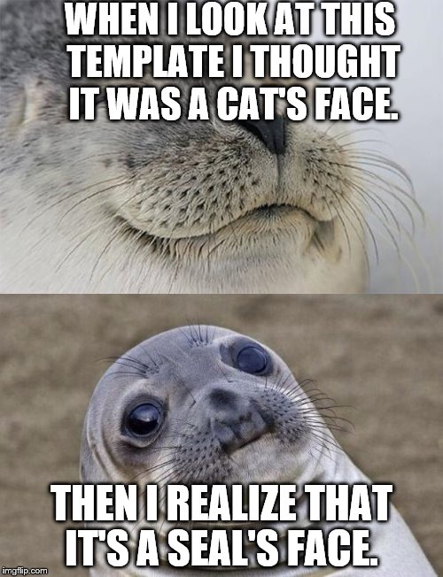 Now I feel stupid | WHEN I LOOK AT THIS TEMPLATE I THOUGHT IT WAS A CAT'S FACE. THEN I REALIZE THAT IT'S A SEAL'S FACE. | image tagged in awkward moment sealion | made w/ Imgflip meme maker