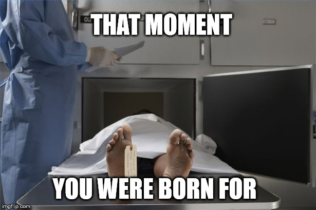 What is "death" for 300 | THAT MOMENT; YOU WERE BORN FOR | image tagged in jeopardy,death,dark humor,merry christmas,funny memes,wow | made w/ Imgflip meme maker