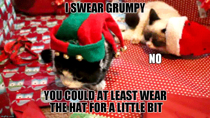 Grumpy don't do Christmas | I SWEAR GRUMPY; NO; YOU COULD AT LEAST WEAR THE HAT FOR A LITTLE BIT | image tagged in grumpy cat christmas | made w/ Imgflip meme maker