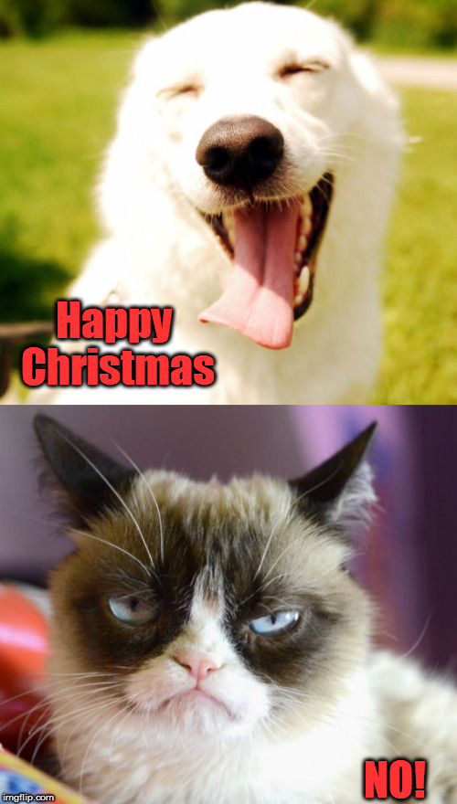 happy dog grumpy cat | Happy Christmas; NO! | image tagged in happy dog grumpy cat | made w/ Imgflip meme maker